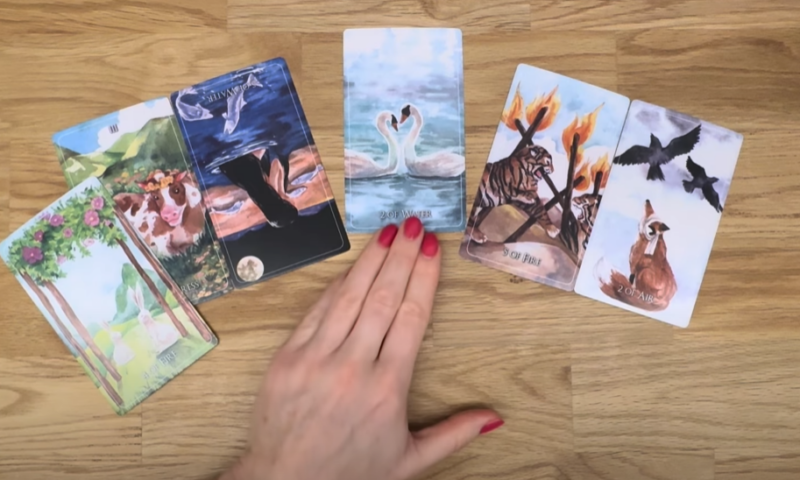 Таролог Ольга: Глубокий Анализ Женской Души Через Таро